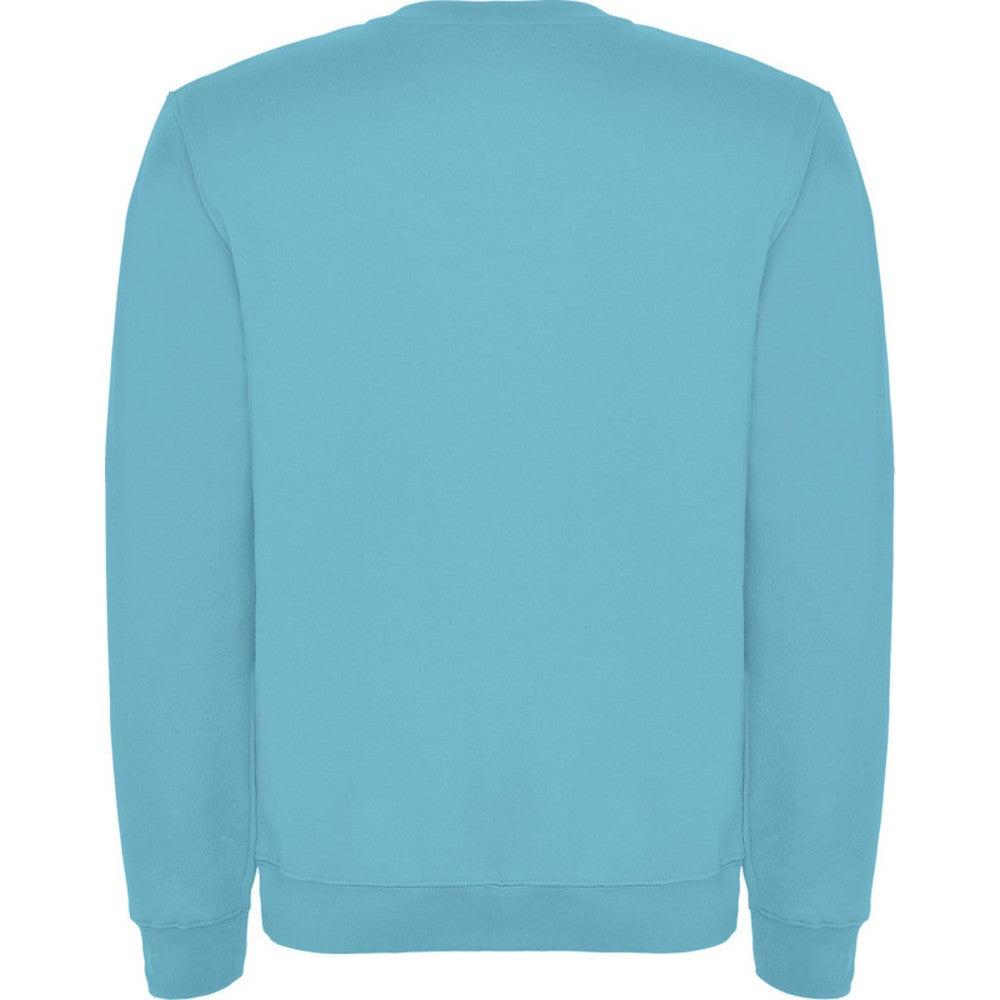 Turquoise - Back - Roly Childrens-Kids Clasica Crew Neck Sweatshirt