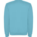 Turquoise - Back - Roly Childrens-Kids Clasica Crew Neck Sweatshirt