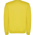 Yellow - Back - Roly Childrens-Kids Clasica Crew Neck Sweatshirt
