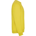 Yellow - Side - Roly Childrens-Kids Clasica Crew Neck Sweatshirt