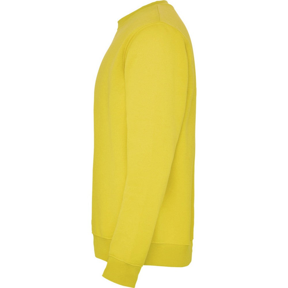Yellow - Lifestyle - Roly Childrens-Kids Clasica Crew Neck Sweatshirt