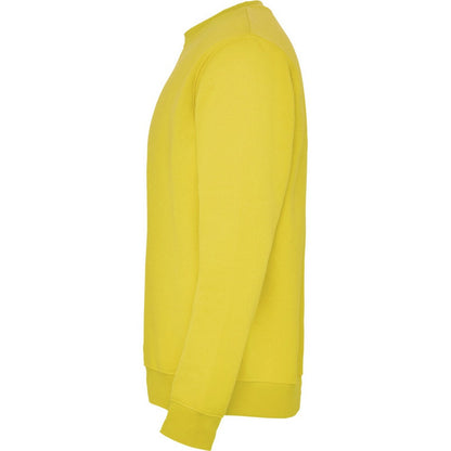 Yellow - Lifestyle - Roly Childrens-Kids Clasica Crew Neck Sweatshirt