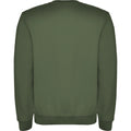 Venture Green - Back - Roly Unisex Adult Clasica Crew Neck Sweatshirt