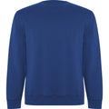 Royal Blue - Front - Roly Unisex Adult Batian Crew Neck Sweatshirt