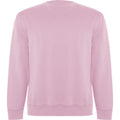 Light Pink - Front - Roly Unisex Adult Batian Crew Neck Sweatshirt