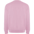 Light Pink - Back - Roly Unisex Adult Batian Crew Neck Sweatshirt