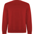 Red - Front - Roly Unisex Adult Batian Crew Neck Sweatshirt