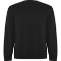 Solid Black - Front - Roly Unisex Adult Batian Crew Neck Sweatshirt