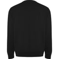 Solid Black - Back - Roly Unisex Adult Batian Crew Neck Sweatshirt