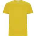 Yellow - Front - Roly Mens Stafford T-Shirt