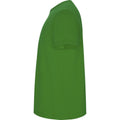 Grass Green - Lifestyle - Roly Mens Stafford T-Shirt