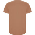Greek Orange - Back - Roly Mens Stafford T-Shirt