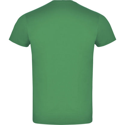 Kelly Green - Back - Roly Unisex Adult Atomic T-Shirt