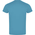 Turquoise - Back - Roly Unisex Adult Atomic T-Shirt