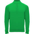 Green Fern - Front - Roly Childrens-Kids Epiro Quarter Zip Long-Sleeved Sweatshirt