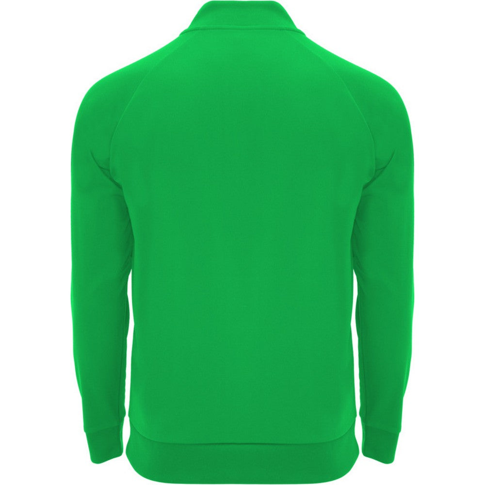 Fern Green - Back - Roly Unisex Adult Epiro Quarter Zip Long-Sleeved Sweatshirt