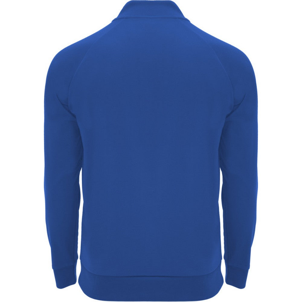 Royal Blue - Back - Roly Unisex Adult Epiro Quarter Zip Long-Sleeved Sweatshirt
