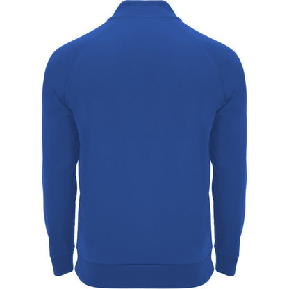 Royal Blue - Back - Roly Unisex Adult Epiro Quarter Zip Long-Sleeved Sweatshirt