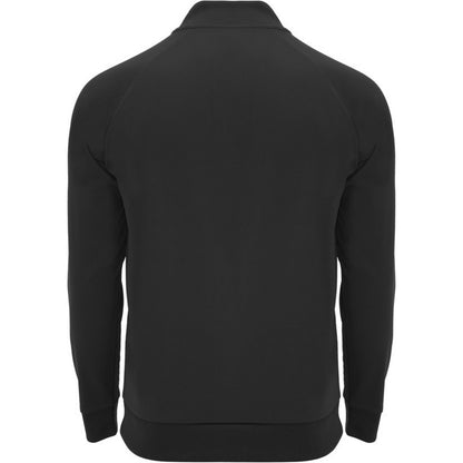 Solid Black - Back - Roly Unisex Adult Epiro Quarter Zip Long-Sleeved Sweatshirt