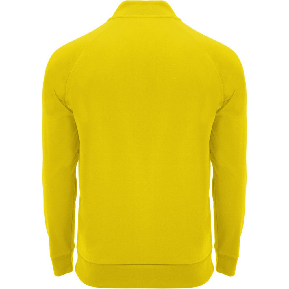 Yellow - Back - Roly Unisex Adult Epiro Quarter Zip Long-Sleeved Sweatshirt
