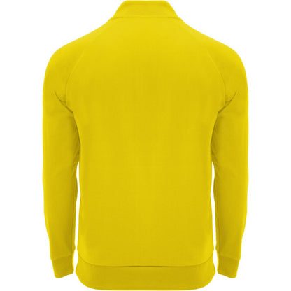 Yellow - Back - Roly Unisex Adult Epiro Quarter Zip Long-Sleeved Sweatshirt