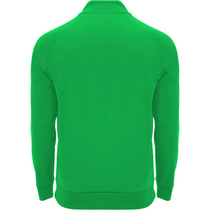 Fern Green - Back - Roly Unisex Adult Epiro Quarter Zip Long-Sleeved Sweatshirt