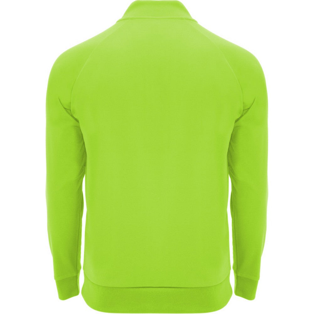 Fluro Green - Back - Roly Unisex Adult Epiro Quarter Zip Long-Sleeved Sweatshirt