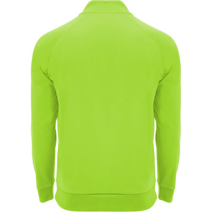 Fluro Green - Back - Roly Unisex Adult Epiro Quarter Zip Long-Sleeved Sweatshirt