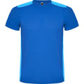 Royal Blue-Light Blue - Front - Roly Unisex Adult Detroit Short-Sleeved Sports T-Shirt