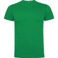 Tropical Green - Front - Roly Childrens-Kids Dogo T-Shirt