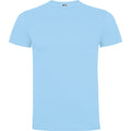 Sky Blue - Front - Roly Childrens-Kids Dogo T-Shirt