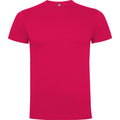 Rossette - Front - Roly Childrens-Kids Dogo T-Shirt