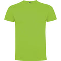 Oasis Green - Front - Roly Childrens-Kids Dogo T-Shirt