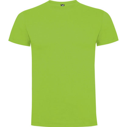Oasis Green - Front - Roly Childrens-Kids Dogo T-Shirt