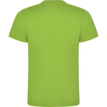 Oasis Green - Back - Roly Childrens-Kids Dogo T-Shirt