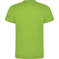 Oasis Green - Back - Roly Childrens-Kids Dogo T-Shirt