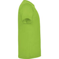 Oasis Green - Side - Roly Childrens-Kids Dogo T-Shirt