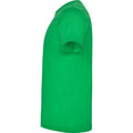 Irish Green - Lifestyle - Roly Mens Dogo Premium T-Shirt