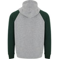 Heather Grey-Bottle Green - Back - Roly Childrens-Kids Badet Two Tone Drawstring Hoodie