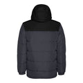 Ebony-Solid Black - Back - Roly Unisex Adult Tallin Insulated Jacket