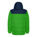 Fern Green-Navy Blue - Back - Roly Unisex Adult Tallin Insulated Jacket
