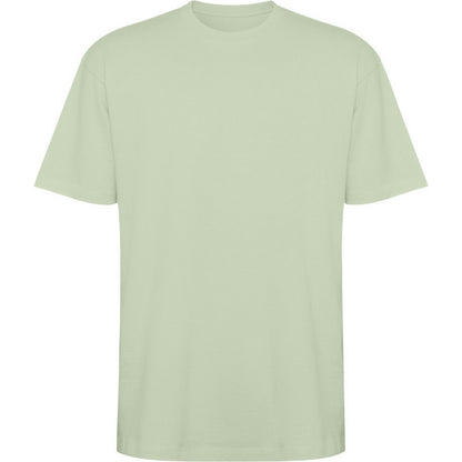 Mist Green - Front - Roly Unisex Adult Bull Oversized Short-Sleeved T-Shirt
