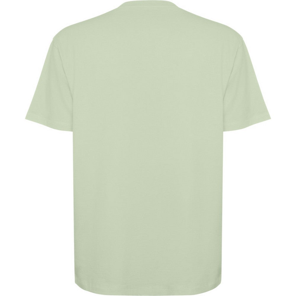 Mist Green - Back - Roly Unisex Adult Bull Oversized Short-Sleeved T-Shirt