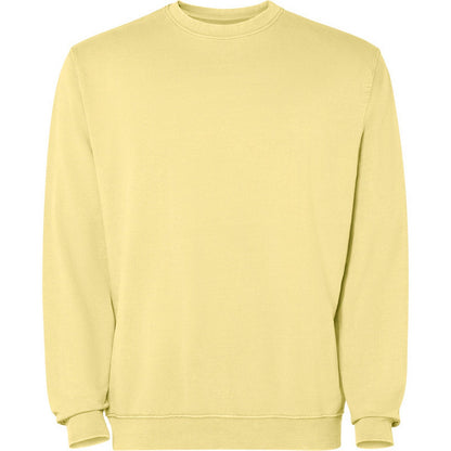 Yellow - Front - Roly Unisex Adult Jaya Crew Neck Sweatshirt