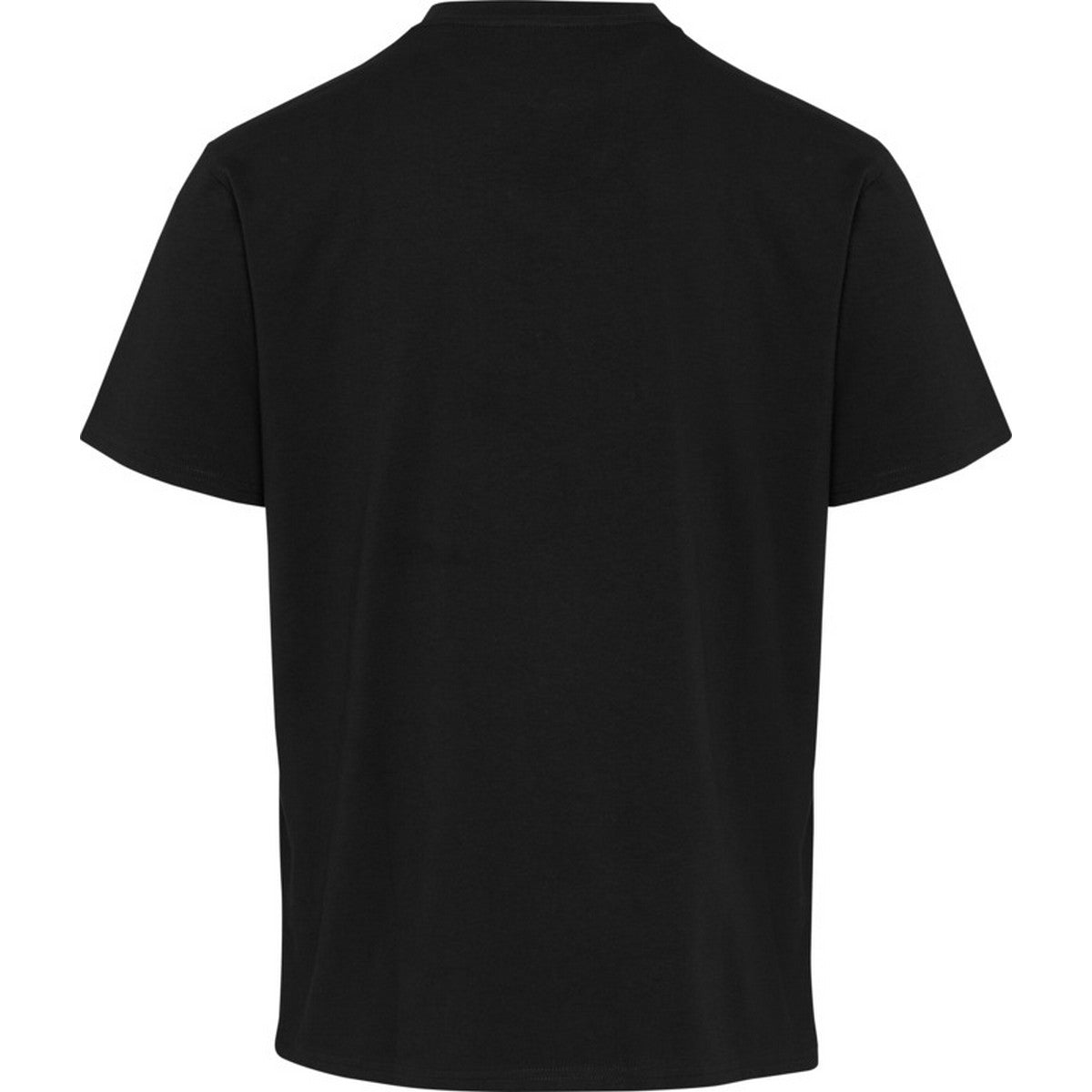 Black - Back - Elevate Unisex Adult Lucas Organic Oversized T-Shirt