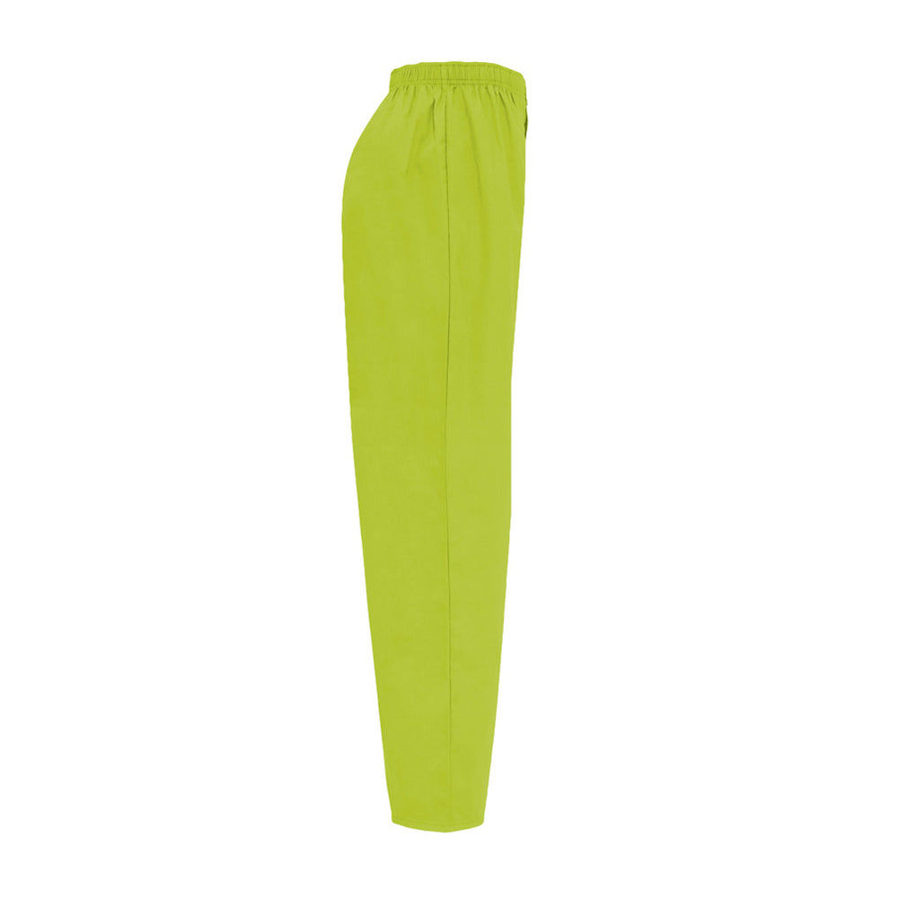 Pistachio - Lifestyle - Roly Workwear Unisex Adult Vademecum Work Trousers