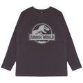 Grey - Front - Jurassic World Childrens-Kids Logo Long-Sleeved T-Shirt