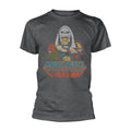 Grey - Front - Masters Of The Universe Unisex Adult He-Man Team T-Shirt