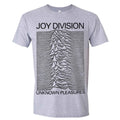 Grey - Front - Joy Division Unisex Adult Unknown Pleasures T-Shirt
