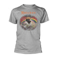 Sports Grey - Front - Rainbow Unisex Adult Rising Distressed Regular T-Shirt